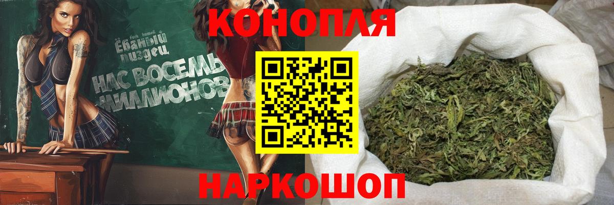 Бошки Шишки марихуана Славгород